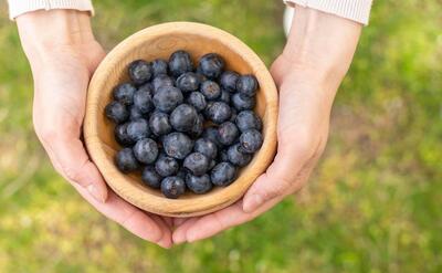 Top view woman holding bowl with blueberries