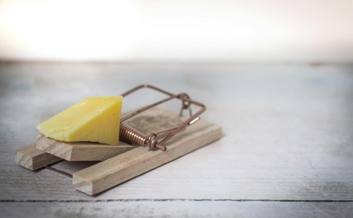 Brown Wooden Mouse Trap With Cheese Bait on Top