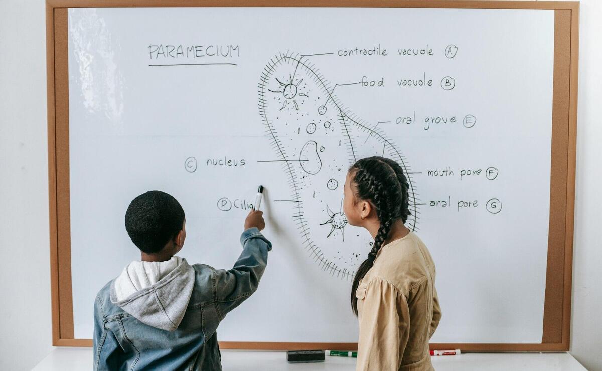 Smart kids learning cell structure