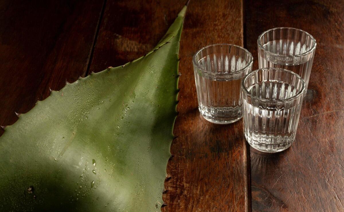 Delicious mezcal beverage composition